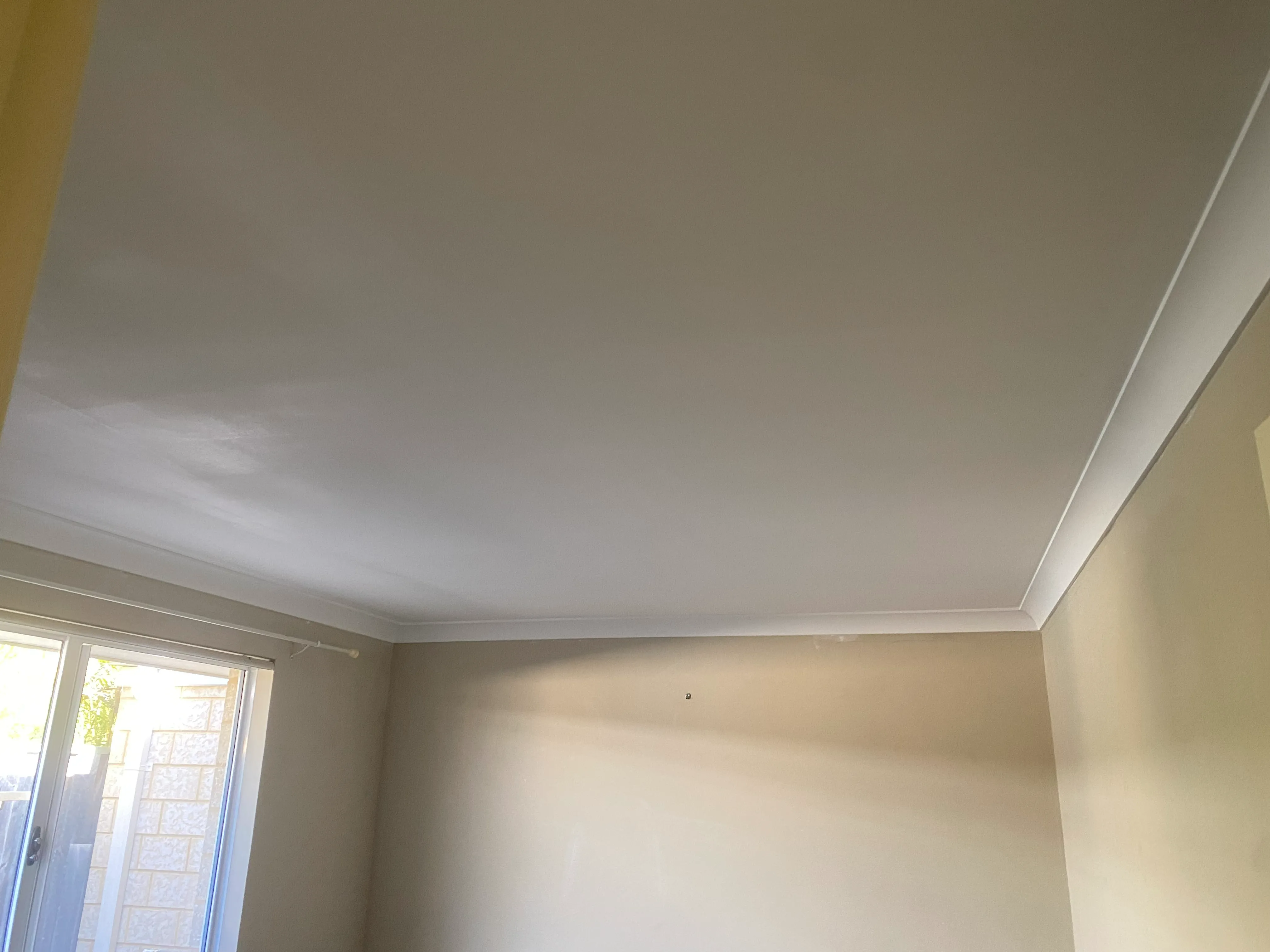 Professional ceiling repair in Dalkeith home
